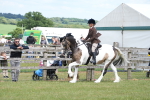 SBM_17151