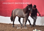 BPP_1703