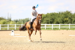 SBM_002234