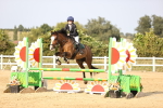 SBM_03910