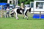 SBM_11425