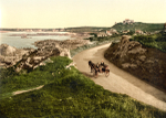 Guernsey Cobo 3