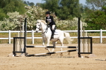 SBM_007638