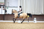 Class 7 - E4 portfolio