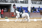 SBM_010179