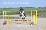 BPP_1175