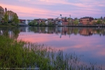 Exeter Spring