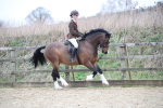 SBM_006338