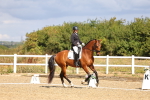 SBM_004088