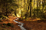 The path of least resistance