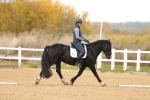 SBM_000991
