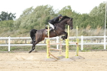 SBM_004973