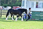 SBM_10186