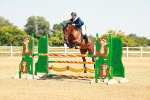 SBM_001438