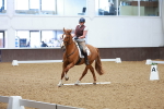SBM_001404