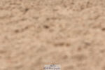 240706A-135932-02942