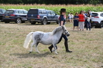 WJ6_7079