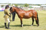 SBM_06980