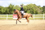 SBM_006268