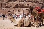 Petra 86