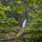 Bridge at Wahclella Falls - Colour
