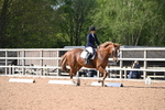 WJ6_6899