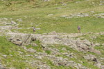 Duddon Long-339