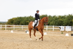 SBM_007381