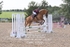 BPP_1193