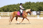 SBM_010403