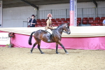 SBM_08395