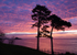 TQ222 New - A vivid sunrise looking down on Meadfoot Beach