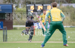 Cricket_Griffins v Irregulars-26