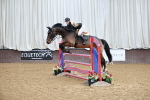 Class 12 - Senior Foxhunter - 1.20m portfolio