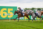 240525-Race 5-Mysteryofthesands-1573