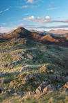 Great Stickle