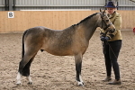 SIAL0347