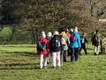 010  Crossing  Hum Hill to Whitcliffe Hall