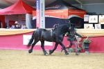 SBM_04382