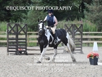 BPP_1556