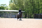 WJ6_0263