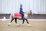 SBM_001882