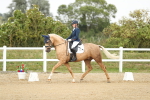 SBM_018492