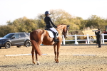 SBM_009060