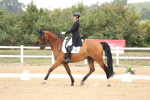 SBM_008045