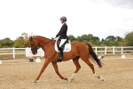 SBM_007364