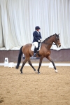 SBM_008101
