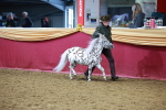 SBM_16014