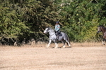WJ6_7799
