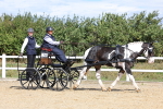 SBM_000907